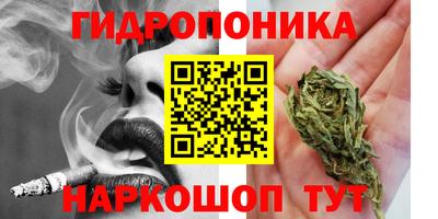 стафф Хасавюрт