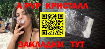 стафф Хасавюрт