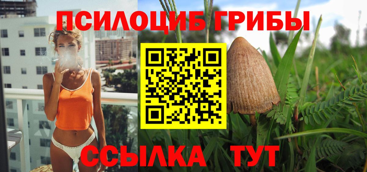 Псилоцибиновые грибы Cubensis Дзержинск